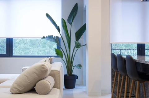 Expert Design Consultants